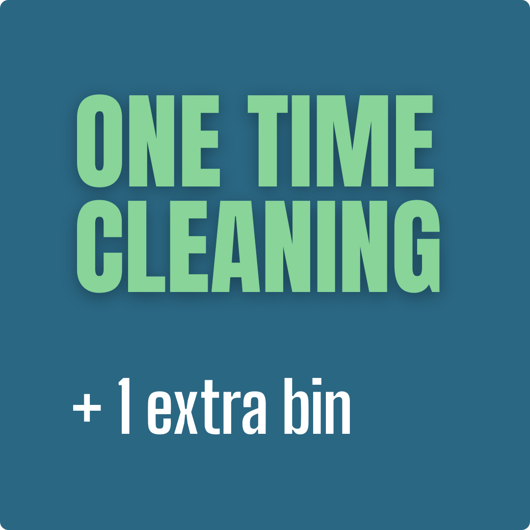 One-Time Cleaning